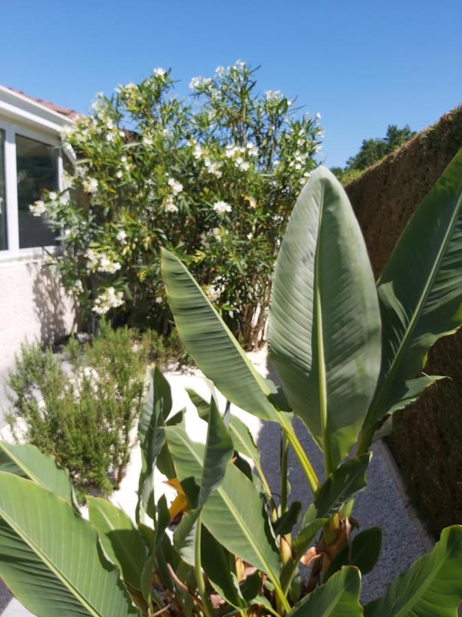Le Soleil Couchant Angresse Ngoại thất bức ảnh